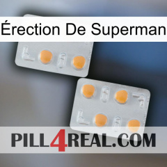 Érection De Superman 25